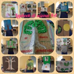 whatsapp image 2021-06-06 at 14.15.00 3.jpeg